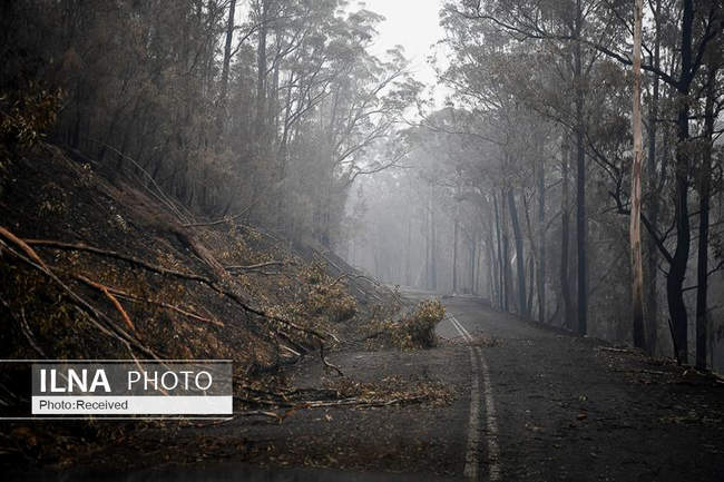 آتش سوزی گسترده در استرالیا