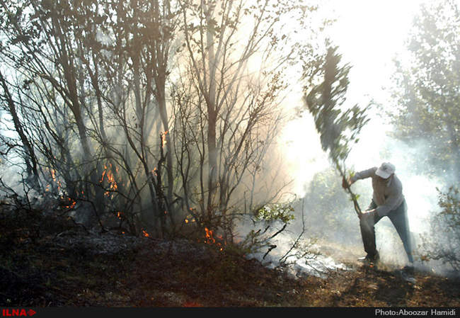 آتش سوزی مراتع و راشستانهای خورگام رودبار گیلان