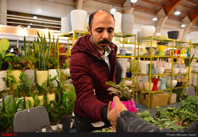 نمایشگاه گل و گیاه در استان قزوین