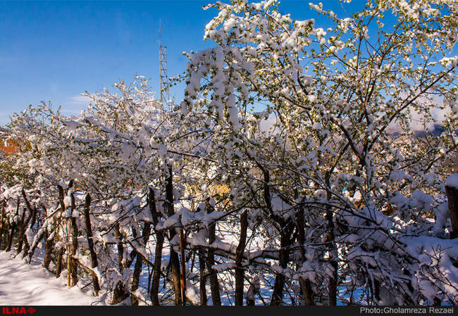 برف بهاری در چهاردانگه ساری