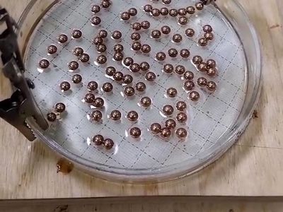 نورونهای مغز به هنگام یادگیری اینچنین جوش می‌ خورند + فیلم