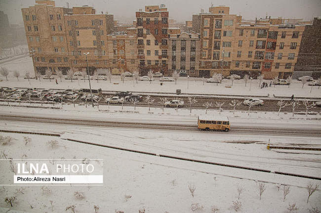 قزوین در آغوش برف به روایت تصویر
