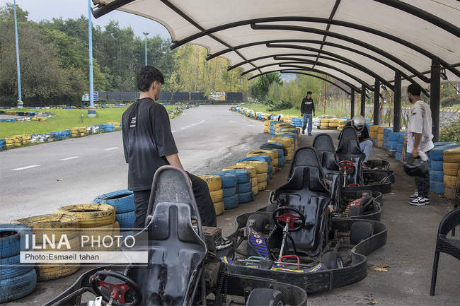 چشم انداز جنگل و دریا در قاب طبیعت