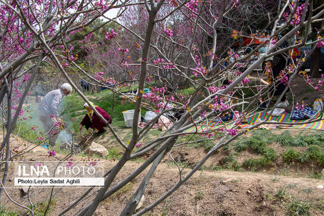 روز طبیعت 1401 در تهران