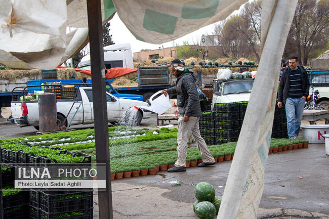 هفت سین در بازار عمده فروشان