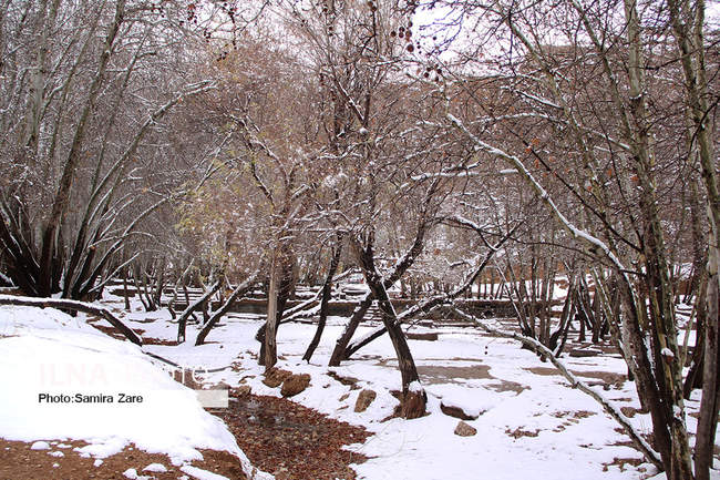 طبیعت برفی روستای قلات